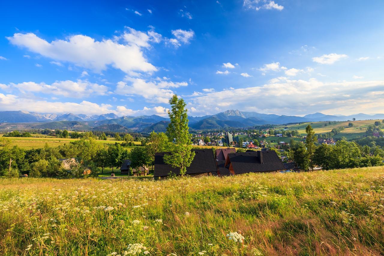 Domki Tatrzanski Ogrod Regional Houses Закопане Екстериор снимка