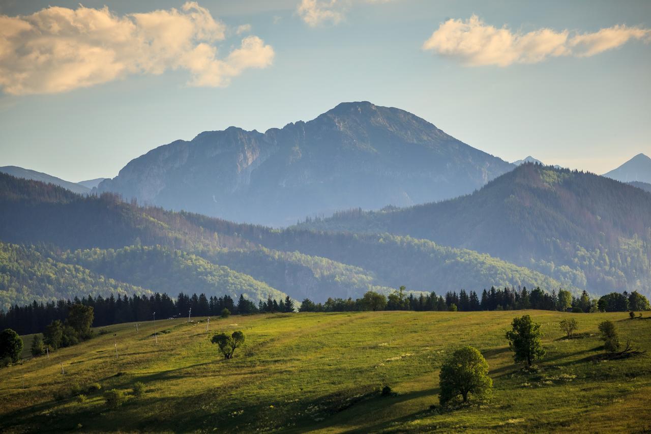 Domki Tatrzanski Ogrod Regional Houses Закопане Екстериор снимка